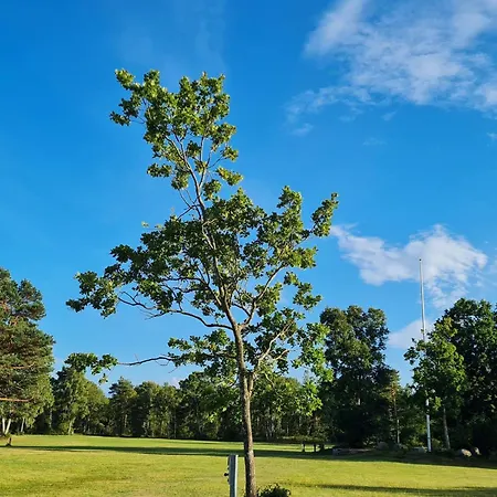 6 Person In Дом отдыха *