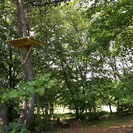 6 Person In Дом отдыха