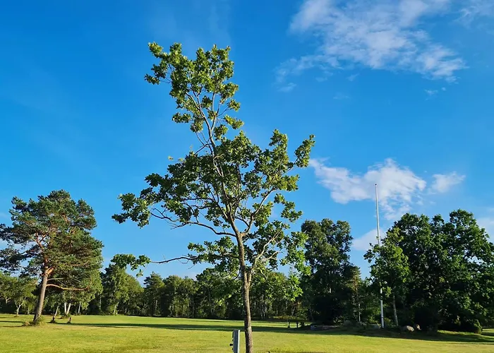 6 Person In Дом отдыха *