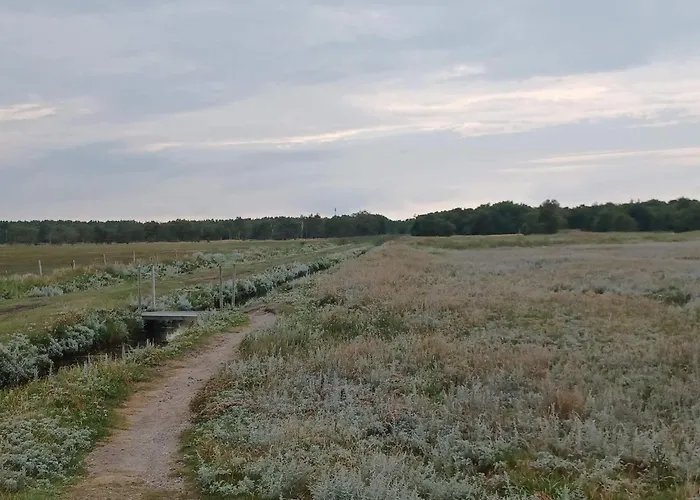 6 Person In Дом отдыха Hadsund