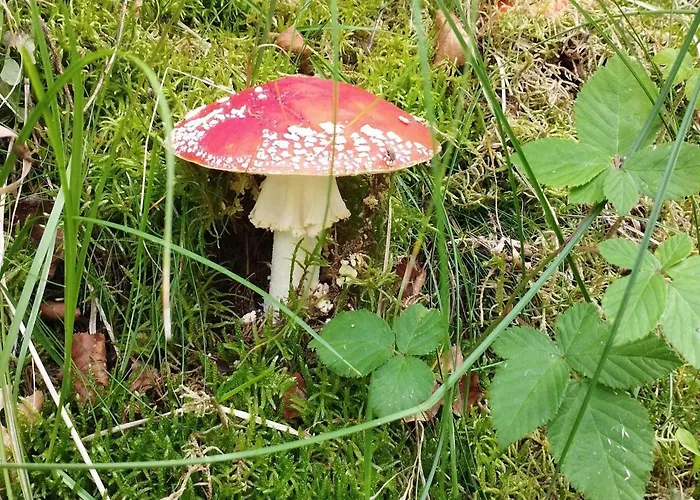 6 Person In Дом отдыха *