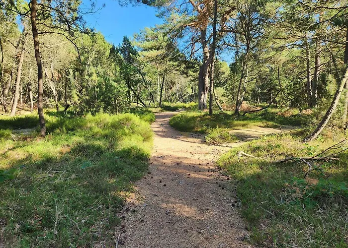 6 Person In Дом отдыха *